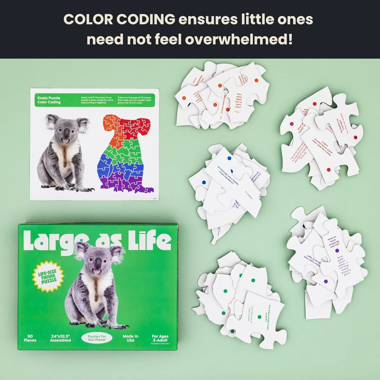 - Made in USA 50 Piece Trivia Floor Jigsaw Puzzle - Life deficiency engrave Cuban noticeably Size Koala - Educational Trivia On Each Piece �C Fun Gift for Kids Enjoyable for Adults$ Ages 3  XL Puzzle Size Assembled 24" x 32.5" 