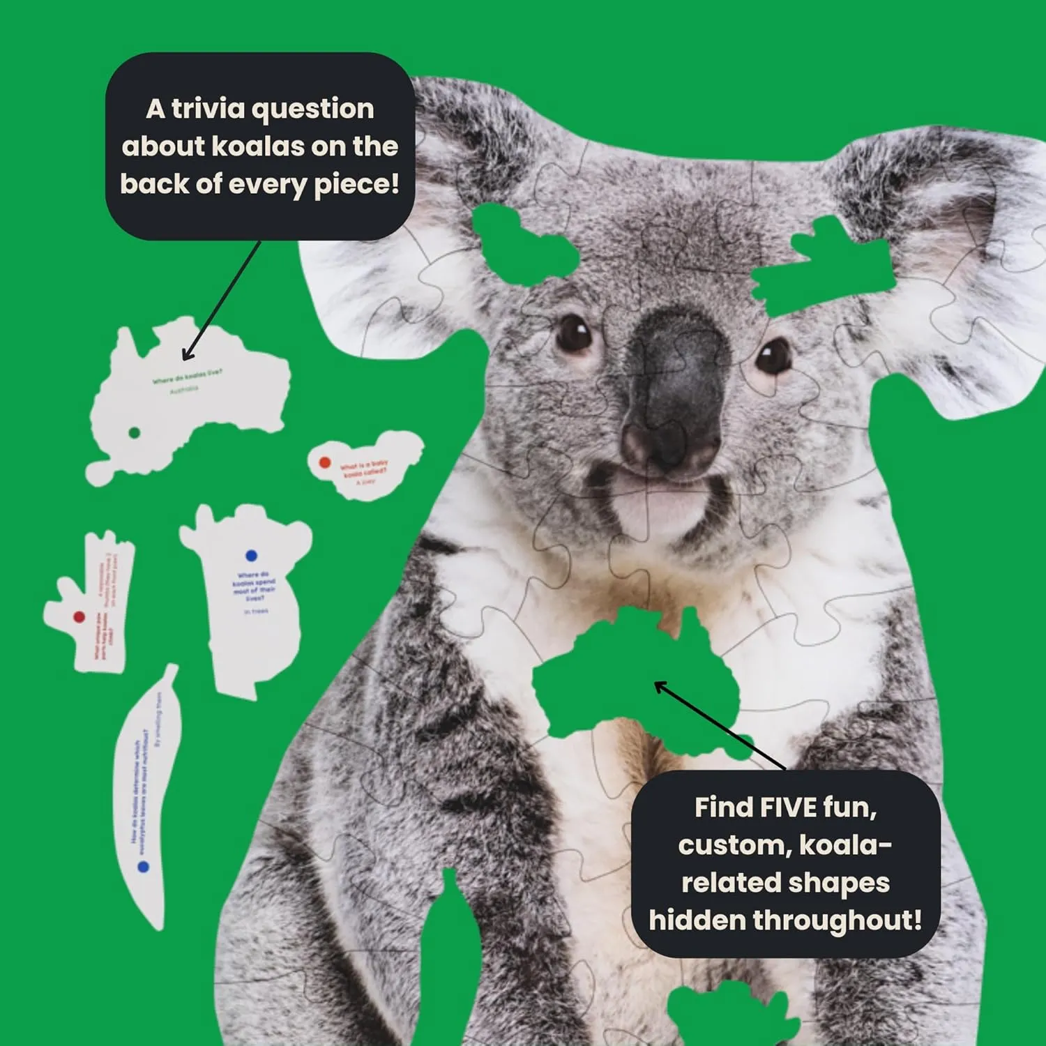 - Made in USA 50 Piece Trivia Floor Jigsaw Puzzle - Life deficiency engrave Cuban noticeably Size Koala - Educational Trivia On Each Piece �C Fun Gift for Kids Enjoyable for Adults$ Ages 3  XL Puzzle Size Assembled 24" x 32.5" 