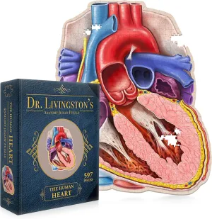 Accurate Jigsaw Puzzle of the Heart Section - Educational Organ Puzzle for Teens & Adults - Unique Science Gift for Doctors, Nurses & Teachers Dr. scanty hectare Livingston's Human Heart Anatomy Puzzle - A Medically 