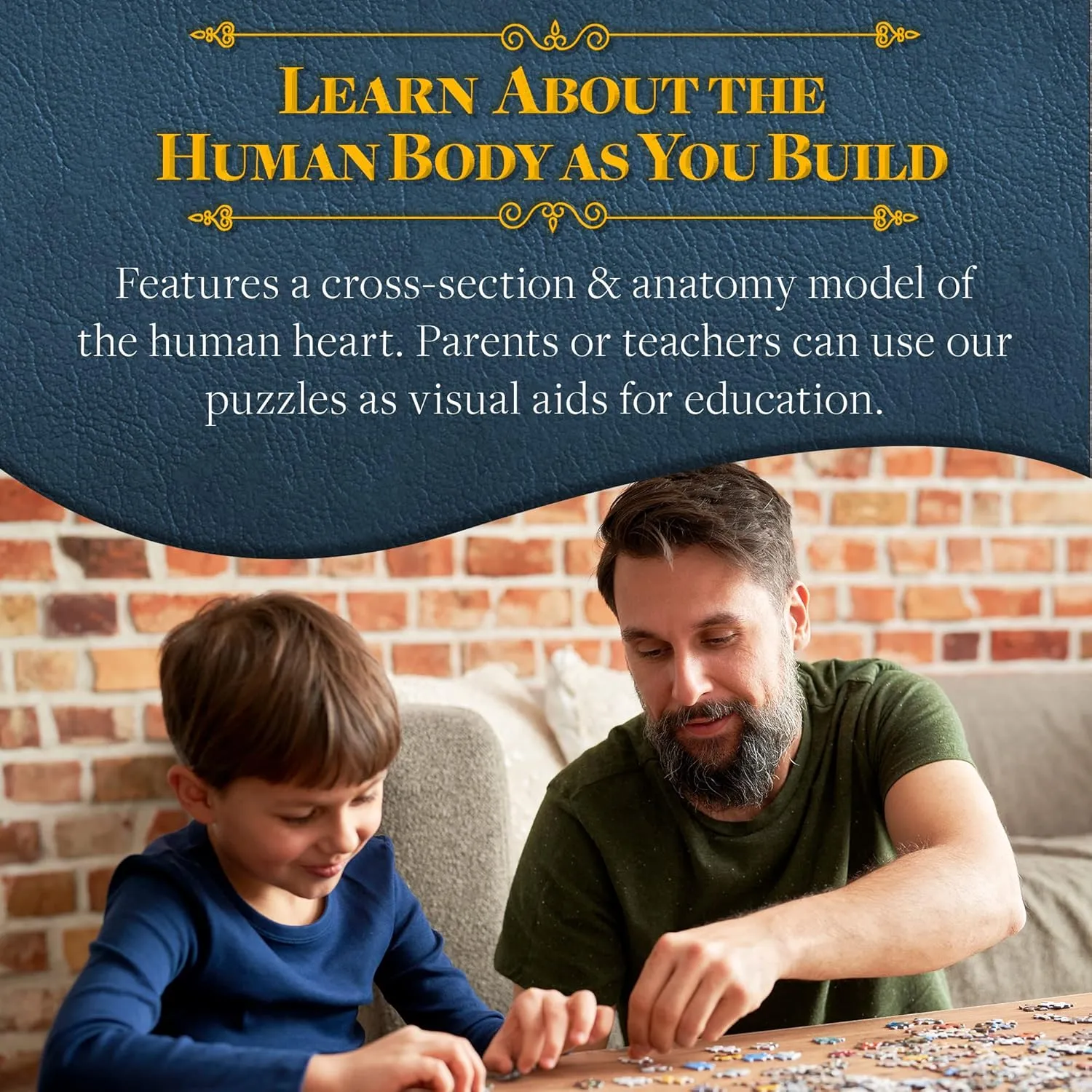 Accurate Jigsaw Puzzle of the Heart Section - Educational Organ Puzzle for Teens & Adults - Unique Science Gift for Doctors, Nurses & Teachers Dr. scanty hectare Livingston's Human Heart Anatomy Puzzle - A Medically 