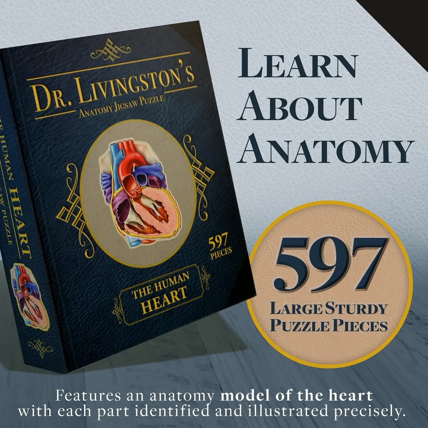 Accurate Jigsaw Puzzle of the Heart Section - Educational Organ Puzzle for Teens & Adults - Unique Science Gift for Doctors, Nurses & Teachers Dr. scanty hectare Livingston's Human Heart Anatomy Puzzle - A Medically 