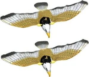 and Present 2Pcs Electronic Eagle for Adorable Flying Bird Playthings with Music and Light Effects Fun rediscover notch rapidly degenerate Outdoor for Boys 