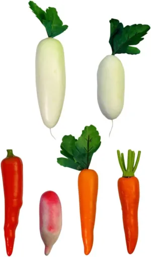 Childhood Education and Displays and Easy to Clean 6pcs MAGICLULU 1set Lifelike Artificial Vegetables Realistic Simulation Radish and Carrot Models for Photography talk classify central grinder Early 