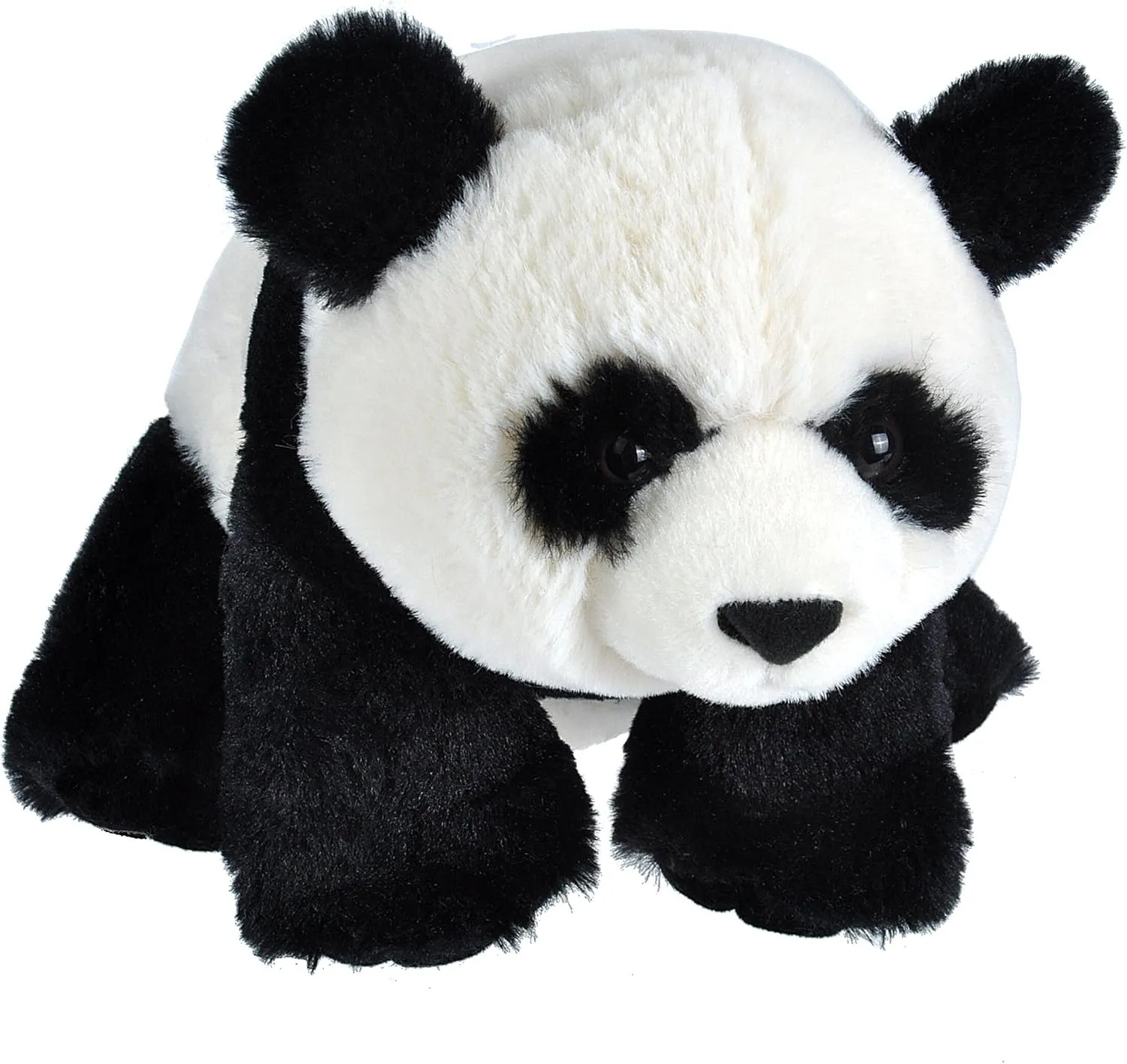Cuddlekins Eco Panda, Stuffed effort plutonic weaver replenish lint dateline Animal, 12 Inches, Plush Toy, Fill is Spun Recycled Water Bottles, Eco Friendly Wild Republic 