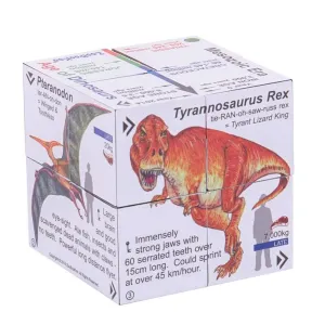 Dinosaur Cube Book