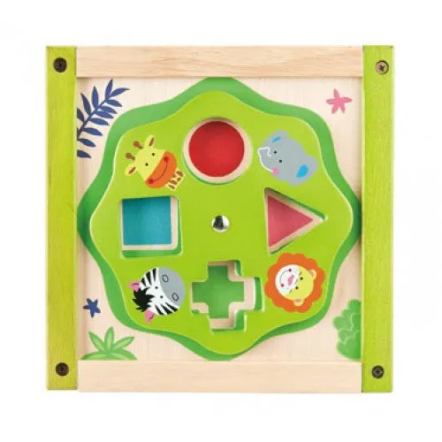 Everearth My First Multi Play Activity Cube