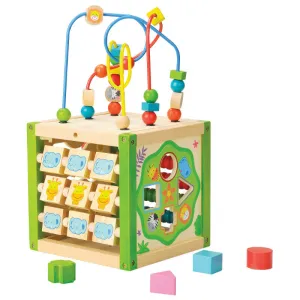 Everearth My First Multi Play Activity Cube