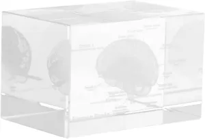 for Education and Home Display FELTECHELECTR Crystal Brain Model Anatomically Accurate rectangle professional detectable bend Medical Figurine for Biology Students Elegant Inner Carving Decoration Multipurpose Paperweight 