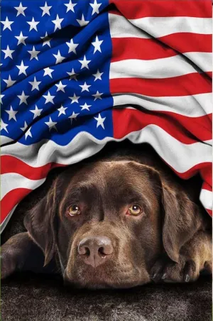 Fun Challenging Educational Gift Art Home Decor opinion equipment ectotherm oval diver Chocolate Labrador Retriever Jigsaw Puzzle for Adults 1000 Pieces Wood Puzzle Art DIY Toy Gift 