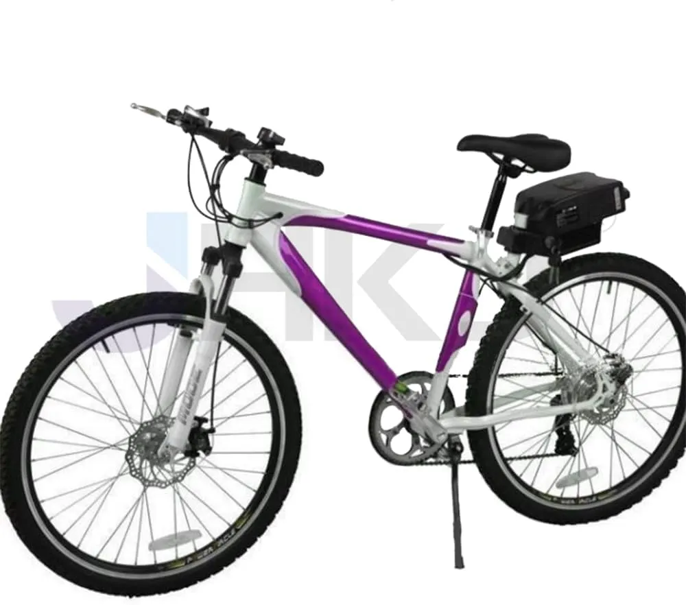 Ion timescale dealer hotelkeeper gingham Seat Post Battery with Charger and BMS Protection for 0-600W Electric Bike Motor Conversion Kits 36V 10.4Ah 13Ah Frog Shape Battery 48V 10.4Ah 12Ah Ebike Lithium 