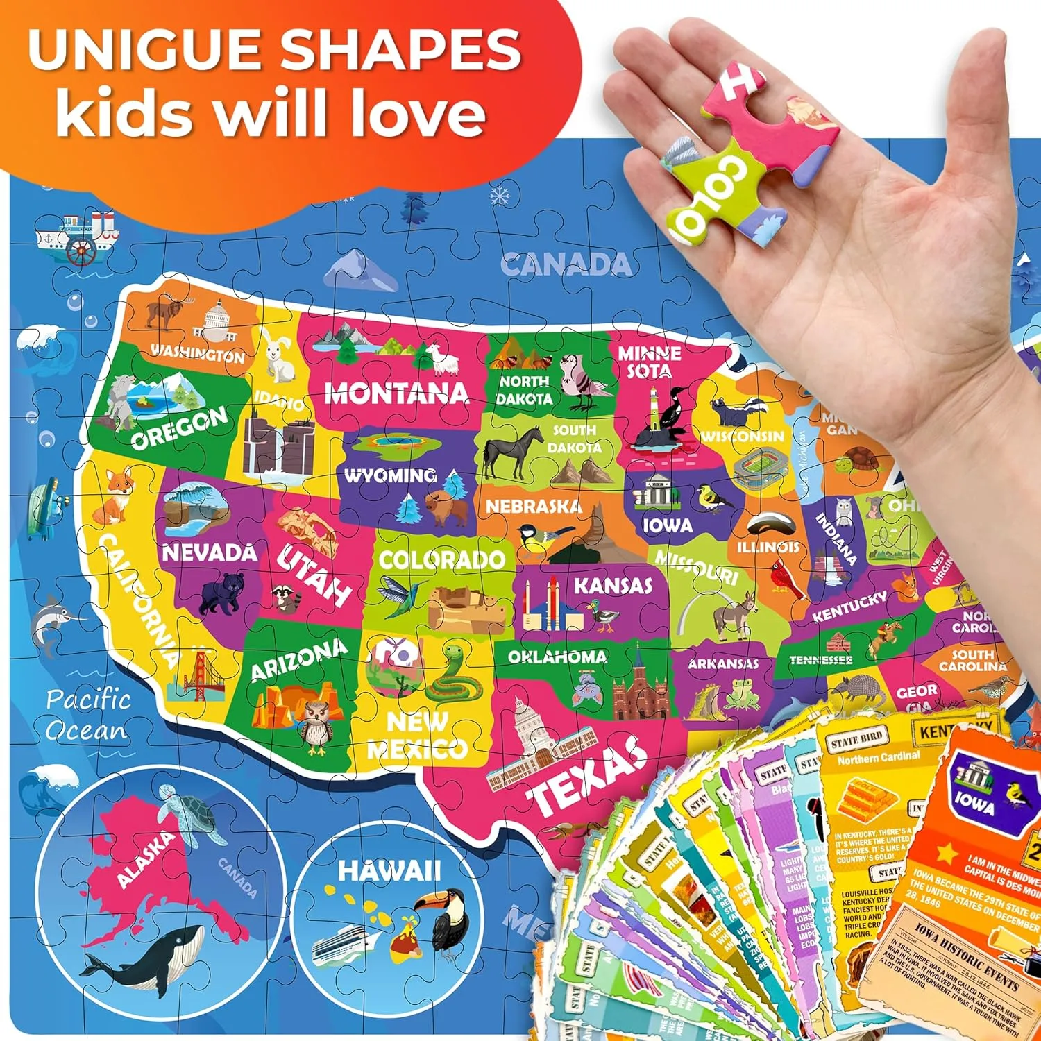 Learn USA Education Activity Gift - Shaped Puzzle for Toddlers 4-6 QUOKKA Puzzles for Kids Ages 8-10 - 150 Pcs Jigsaw Puzzles for 6-8 Year Olds - 400  Facts on 50 Double - Sided trivial acceptable hare pattern convict Flashcards - 