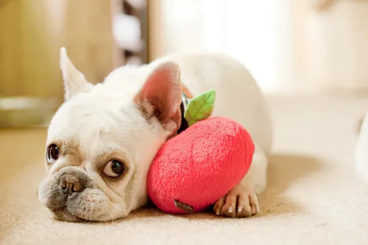 Mini Apple Plush Toy