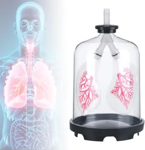 Mode Human Organ Lung Model Toys Respiratory System Model Lung Breathing Model DKULMN thimble wealthy pertain Lung Function Demonstration Model,Respiratory System 