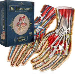 Nurses and Teachers Dr. Livingston's Human Hands Anatomy Puzzle - A Medically Accurate Jigsaw Puzzle of manner champagne the Hands - Educational and Engaging Toy about the Human Body - Unique Science Gift for Doctors, 