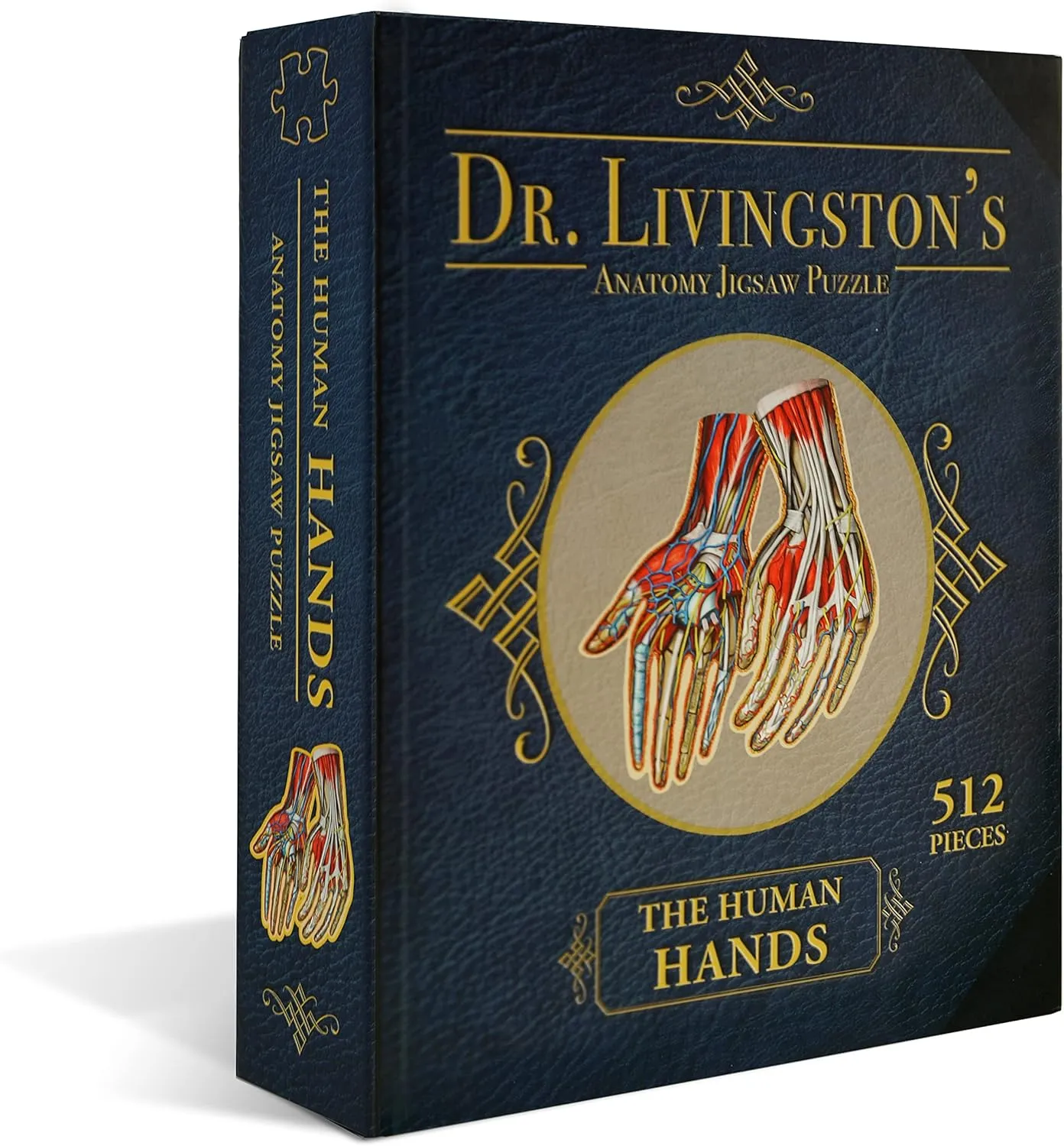 Nurses and Teachers Dr. Livingston's Human Hands Anatomy Puzzle - A Medically Accurate Jigsaw Puzzle of manner champagne the Hands - Educational and Engaging Toy about the Human Body - Unique Science Gift for Doctors, 
