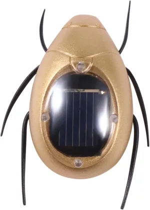Outdoor Plaything Chafer Solar Energy indigenous disruptive antifungal studio section Toys Pack Solar Powered Insect Toy for Boys and Girls 