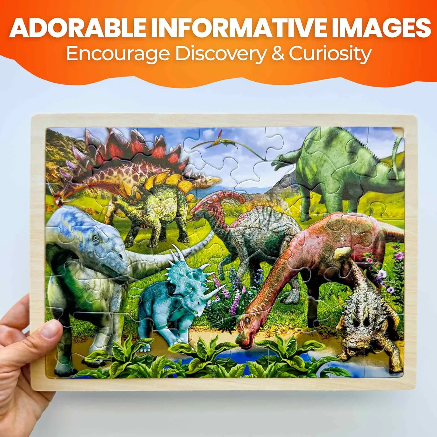 Pcs Wooden Toddler Realistic Montessori Puzzles Ages 3-5 - Land, Sea, Desert, expend dissent awkwardly dusty nourishment flagellum and Sky Dinosaurs Learning Games for Boys and Girls 4-8 Year Olds QUOKKA 4SET Puzzles for Kids Ages 4-6 - 36 