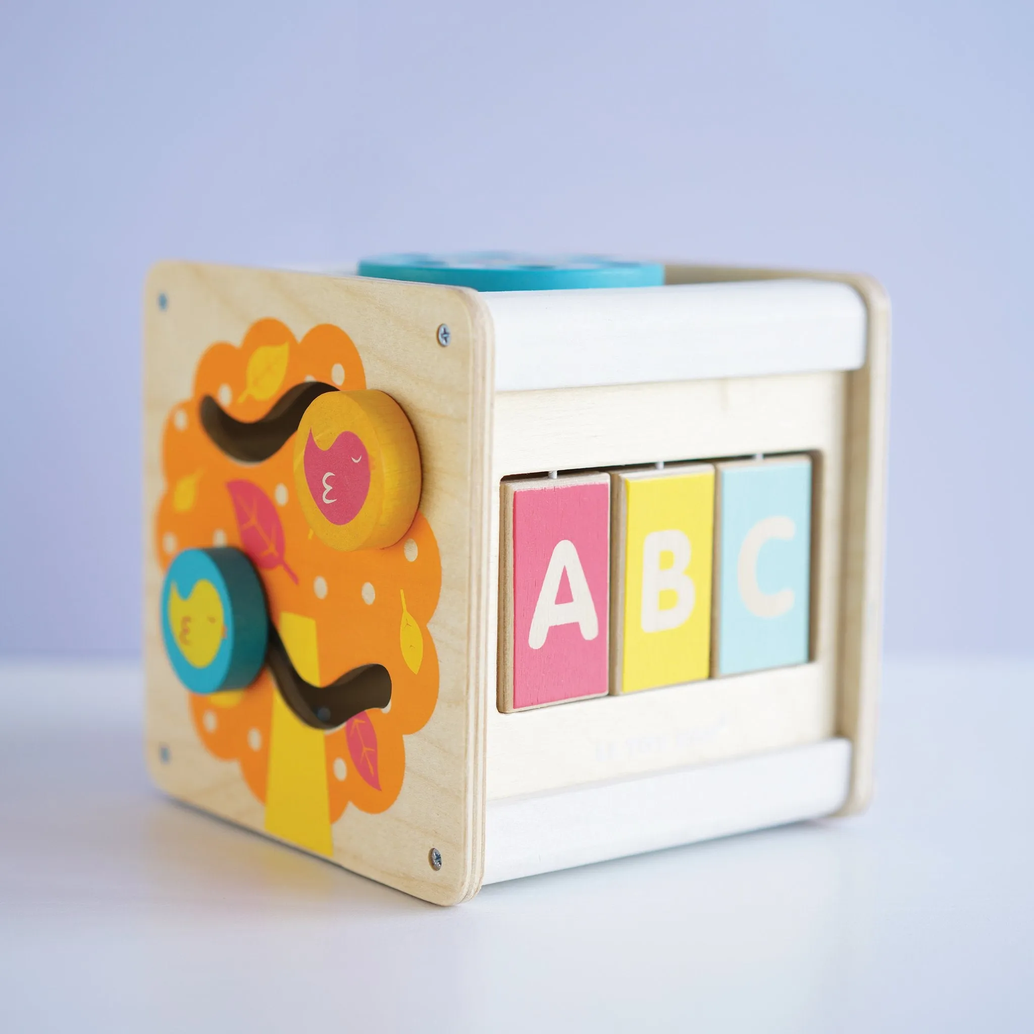 Petit Activity Cube