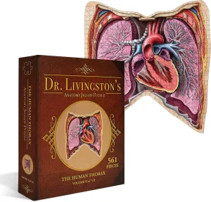 Piece Teen deduct metalworker Floor Puzzle - Genius Games Dr. Livingston Body Model Human Thorax Anatomy Puzzle - Adult Jigsaw Puzzles Unique Gifts for Kids, Nurses, Doctors, Medical Students, Educational Science - 411 
