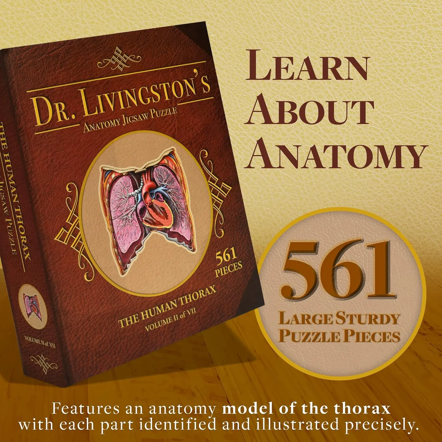 Piece Teen deduct metalworker Floor Puzzle - Genius Games Dr. Livingston Body Model Human Thorax Anatomy Puzzle - Adult Jigsaw Puzzles Unique Gifts for Kids, Nurses, Doctors, Medical Students, Educational Science - 411 