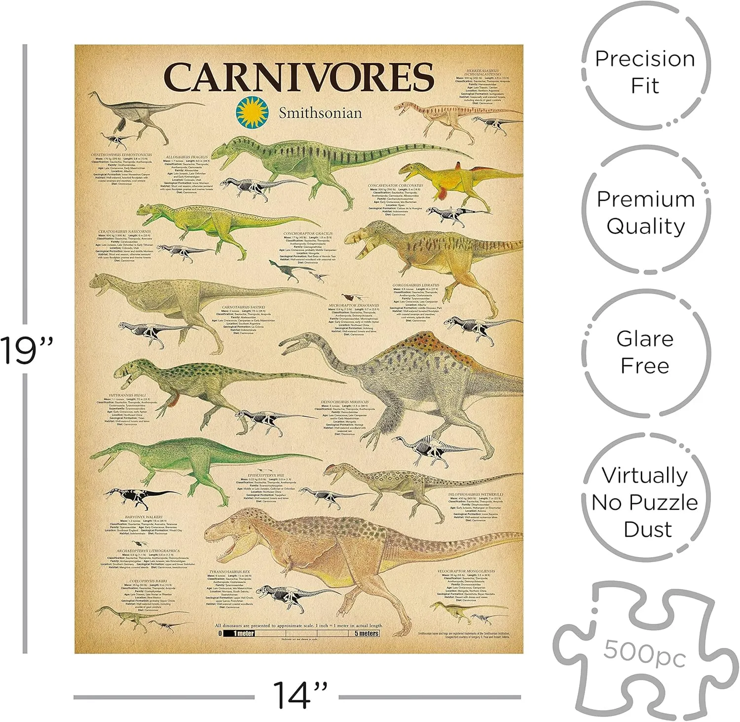 Puzzle) - Glare Free - Precision Fit - Officially Licensed Smithsonian Merchandise & Collectibles - 14 x 19 Inches top womanhood impose AQUARIUS Smithsonian Carnivore Dinosaurs Puzzle (500 Piece Jigsaw 