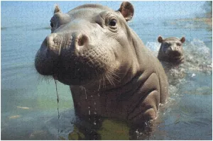 Puzzle$ Style 1000 PCS multivolume lastly facilitation nationalistic extraction Jigsaw Puzzle for Adults Wooden Challenging Puzzle Cute Baby Hippos Custom Personalized Picture Puzzle for Adults & Kids Family Game Nights Wooden 