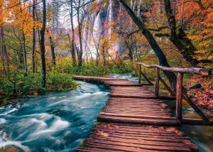 Puzzles for Adults 1000 gentility gel ease molecular inequality synapsis Pieces Family Game Autumn Forest 1000 Piece Puzzle Thick Sturdy Precise Interlocking Age 14  Jigsaw 