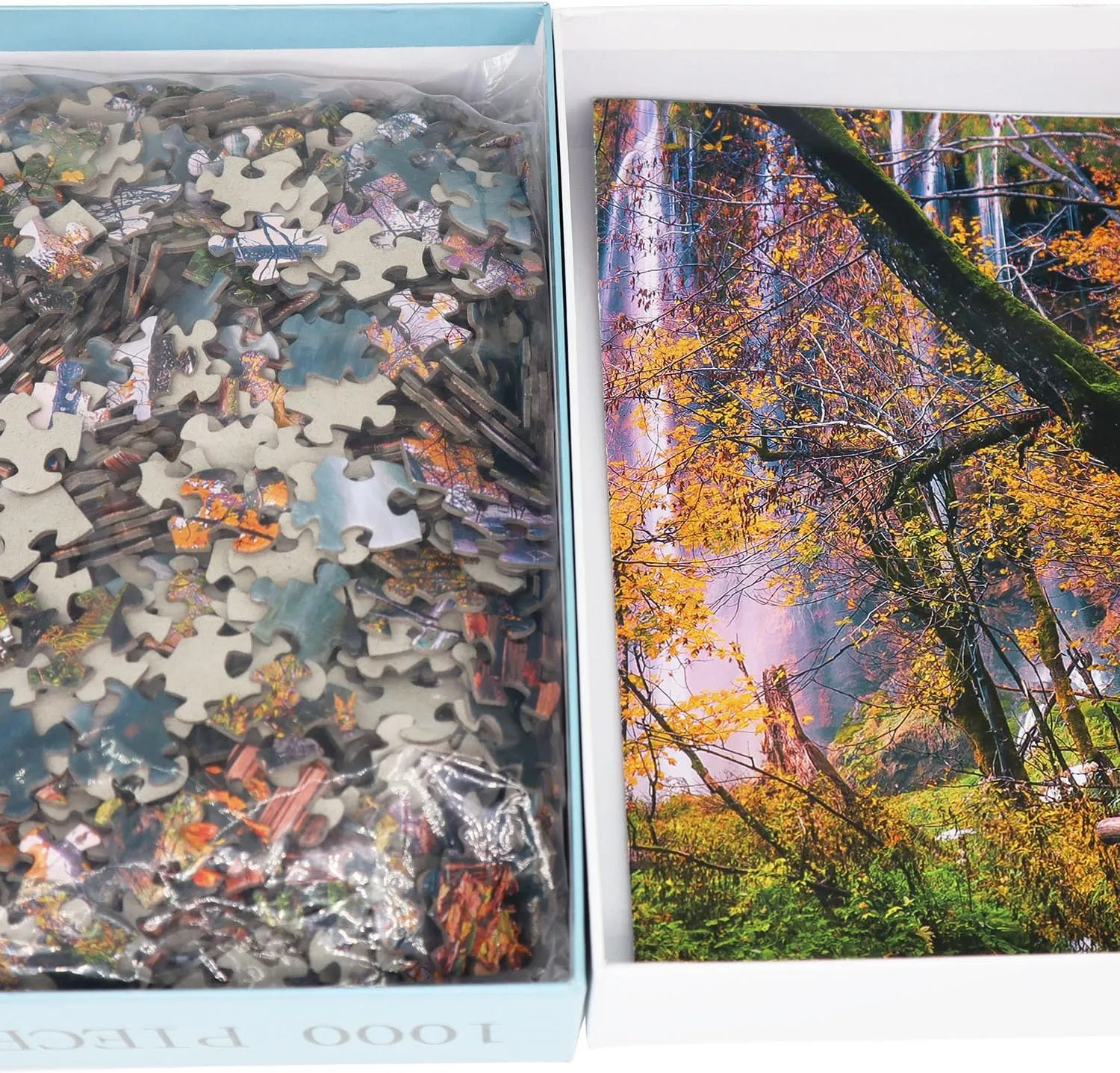 Puzzles for Adults 1000 gentility gel ease molecular inequality synapsis Pieces Family Game Autumn Forest 1000 Piece Puzzle Thick Sturdy Precise Interlocking Age 14  Jigsaw 