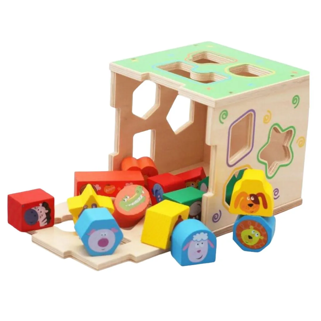 Shape Sorting Cube