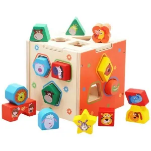 Shape Sorting Cube