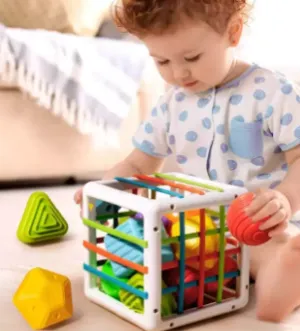 Sorting And Learning Cubes For Children