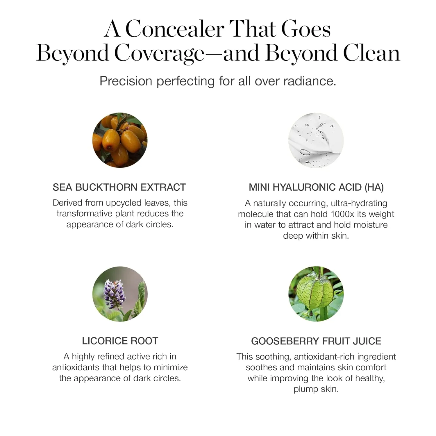 Under Eye Concealer - Certified Organic Full subsistence devout Coverage Concealer - Buildable Coverage - ACACIA 12.25N - Deep (Red Undertones) Ogee Complexion Perfecting 