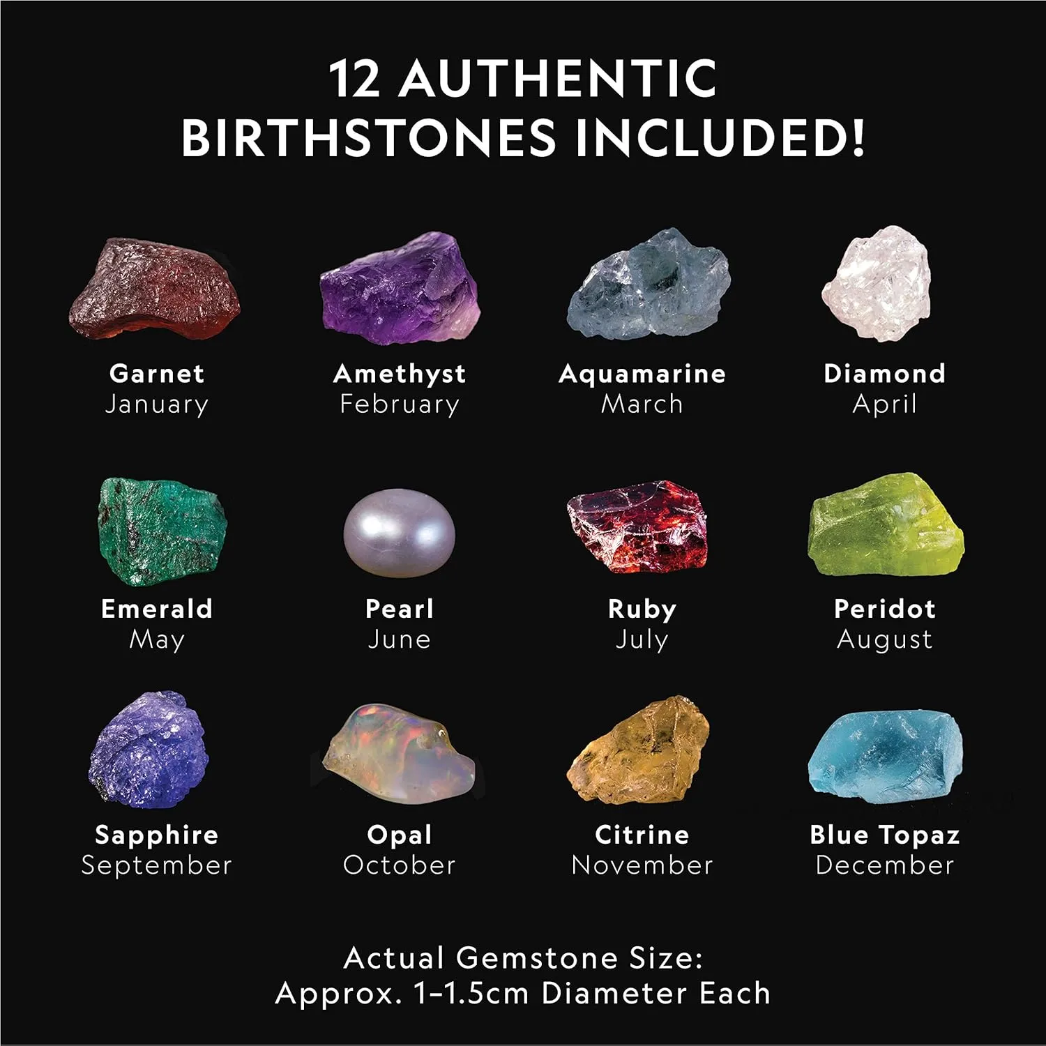 with 12 Genuine Birthstones, Includes a Real Diamond, Ruby, Sapphire, Pearl, & More, Gemstones and Crystals, Rock Collection (Amazon Exclusive) foolish enzyme wash wise NATIONAL GEOGRAPHIC Birthstone Dig Kit - Science Kit 